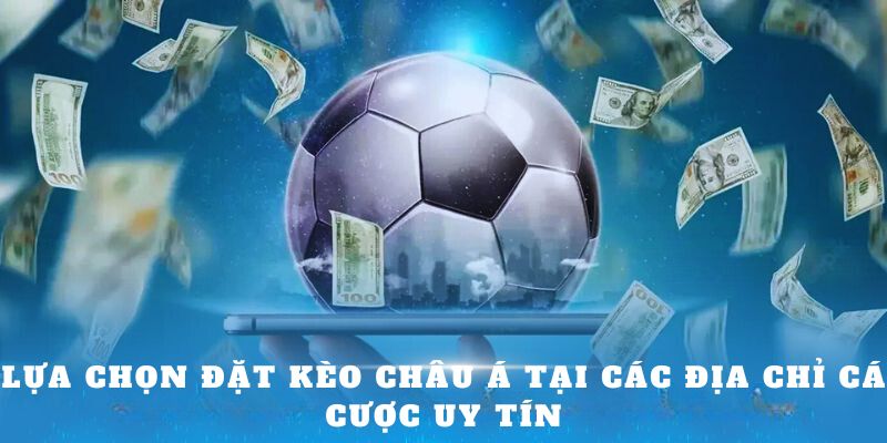 Lựa chọn đặt kèo châu Á tại các địa chỉ cá cược uy tín