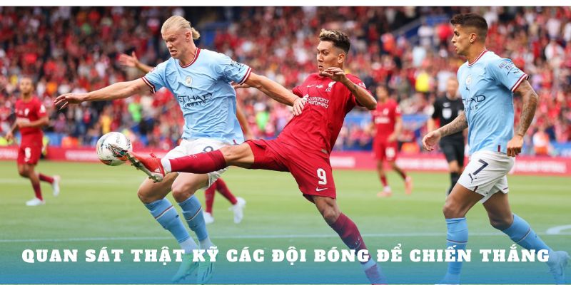 Quan sát thật kỹ các đội bóng để chiến thắng