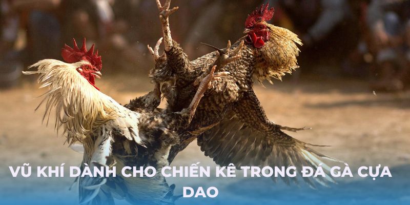 Vũ khí dành cho chiến kê trong đá gà cựa dao